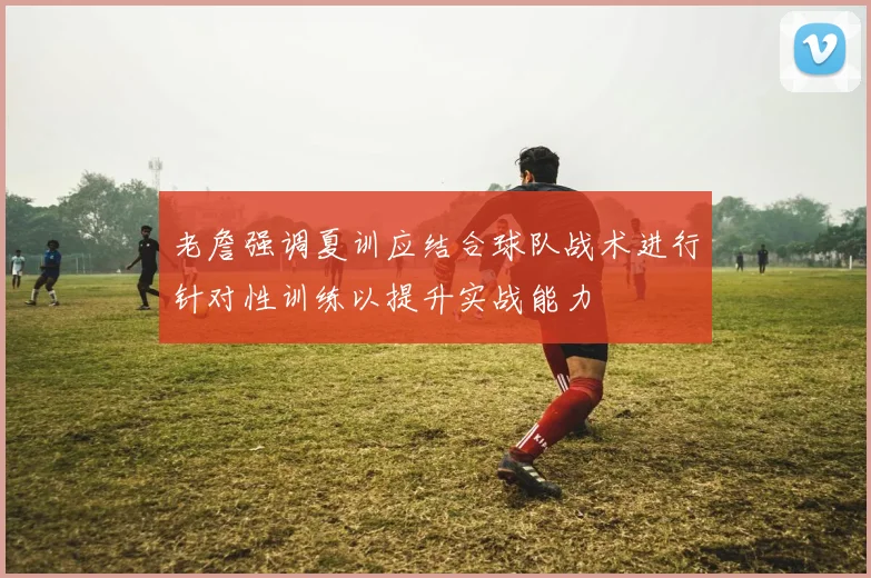 老詹强调夏训应结合球队战术进行针对性训练以提升实战能力